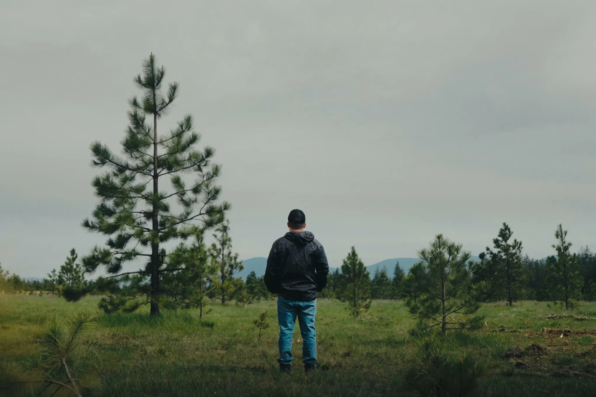 A lone figure standing in an open meadow on the property beneath a single pine, with timber in the distance and no other building in sight