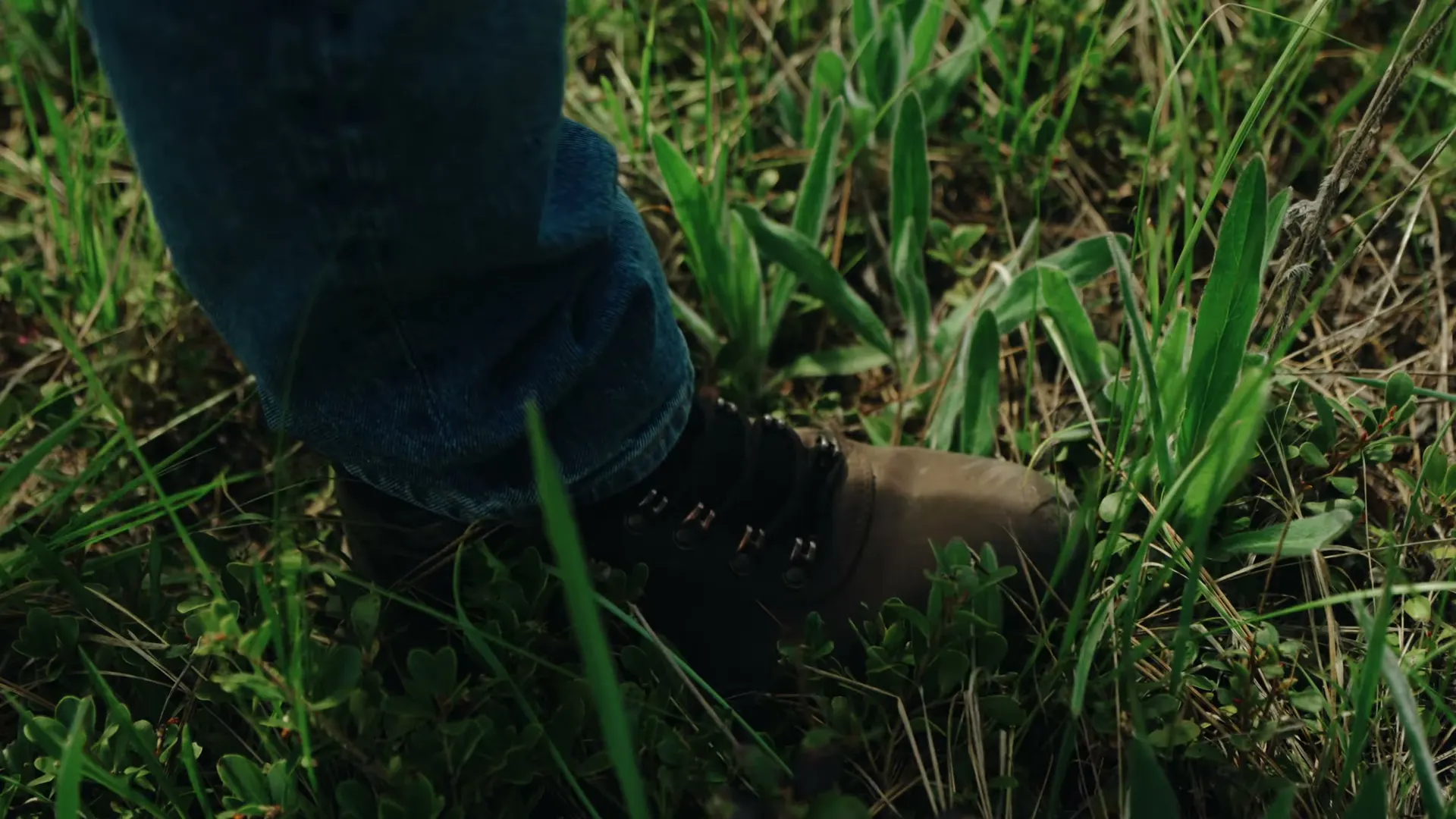 A boot and jean cuff close in tall spring grass, low native ground cover around it.