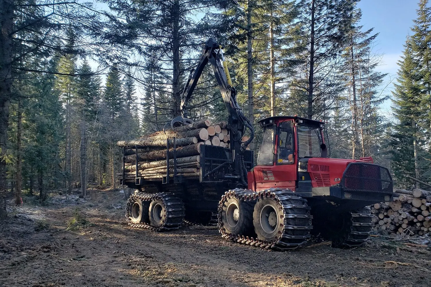 A mechanical harvester working a stand in the Idaho Panhandle National Forests, cut logs decked behind it.